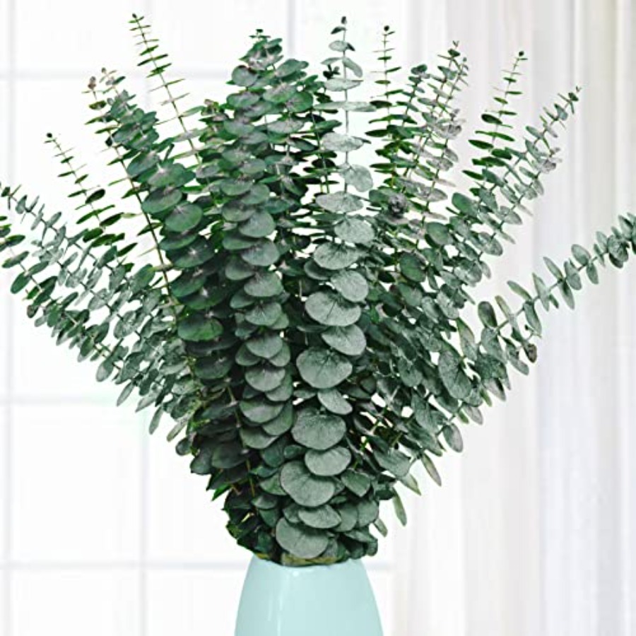 Eucalyptus Preserved - 20 szt. Suszonych, konserwowanych gałązek eukaliptusa,
