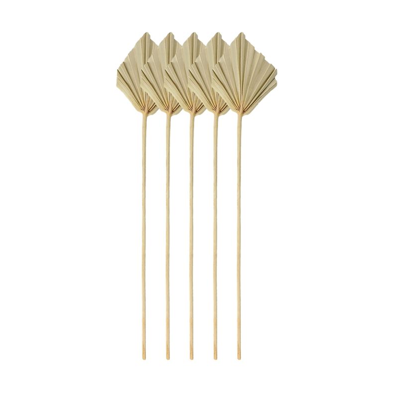 Palm Leaf Dried - A67P-Boho Suszone palmy, małe naturalne suszone