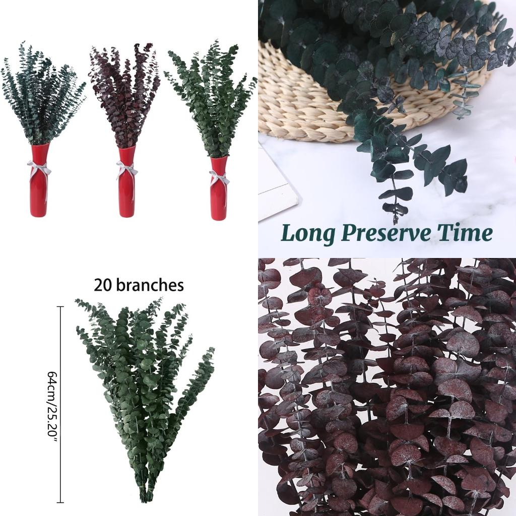 Eucalyptus Preserved - 20 sztuk zakonserwowane na świeże gałęzie