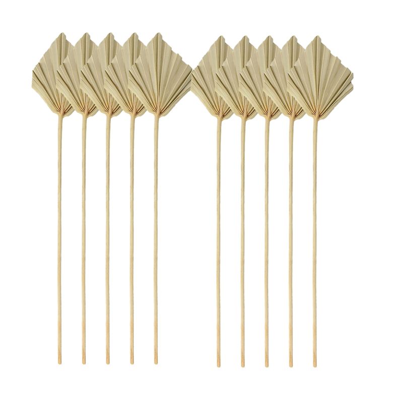 Palm Leaf Dried - TFORU-Boho Suszone palmy, małe naturalne suszone
