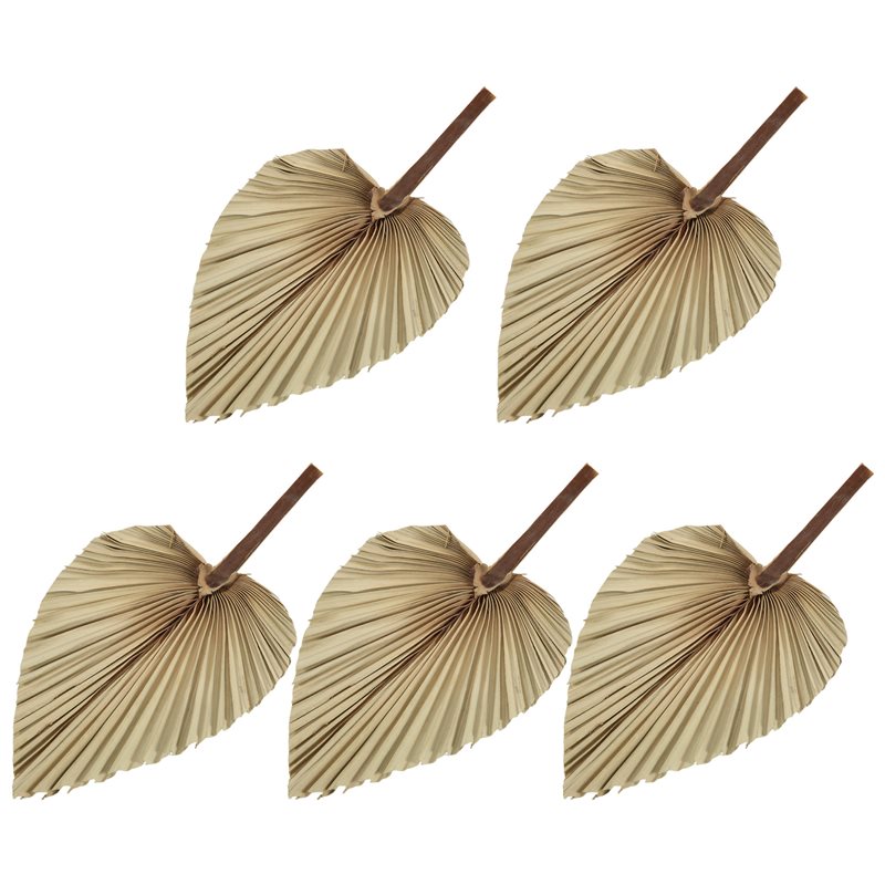 Palm Leaf Dried - SEWS-5 szt. Naturalne suszone liście palmowe,