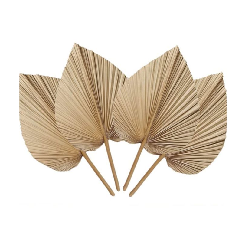 Palm Leaf Dried - A27F-6 szt. Naturalne, tropikalne, suszone liście