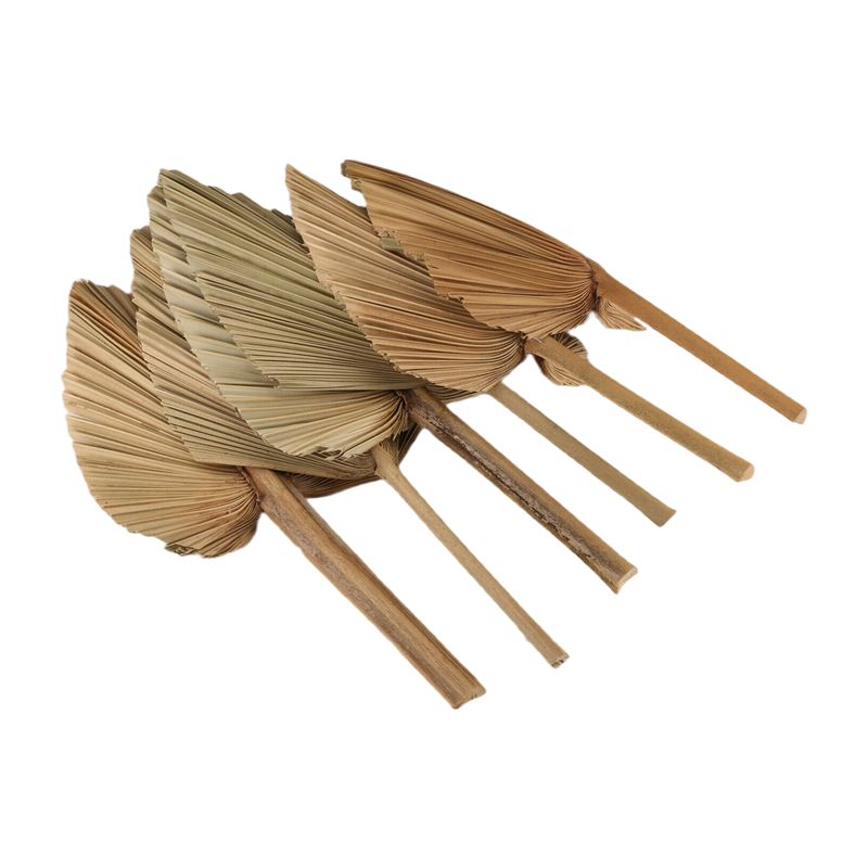 Palm Leaf Dried - ABKO-6SZT Suszone Liście Palmy Naturalne Suszone