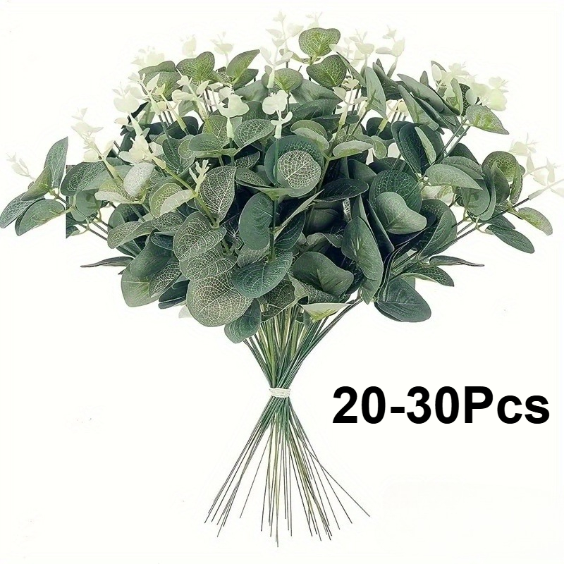 20 lub 30 szt. Gałązek eukalip – Eucalyptus Preserved recenzja i cena