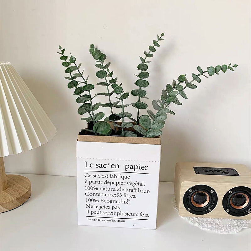 20szt Sztuczne łodygi eukalipt – Eucalyptus Preserved recenzja i cena