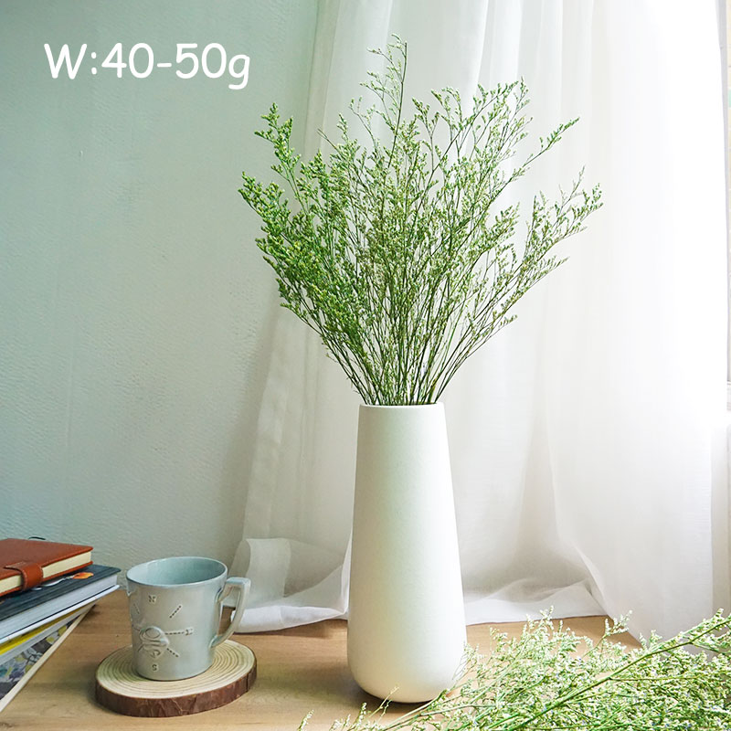 50g/Trwała trawa walentynkowa  – Eucalyptus Preserved recenzja i cena