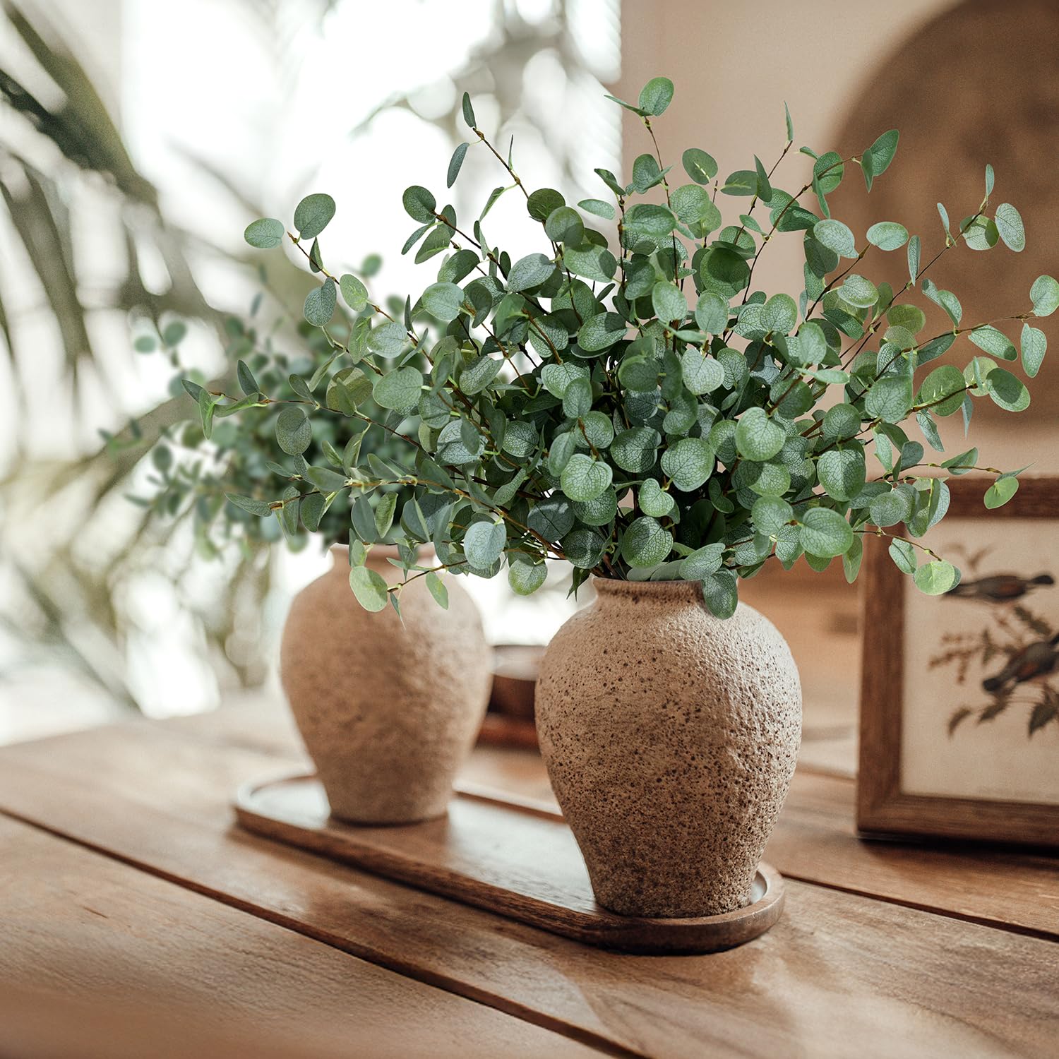 Sztuczne gałązki eukaliptusa,  – Eucalyptus Preserved recenzja i cena