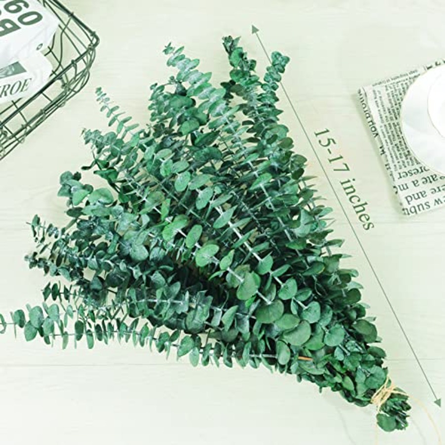 20 szt. Suszonych, konserwowan – Eucalyptus Preserved recenzja i cena