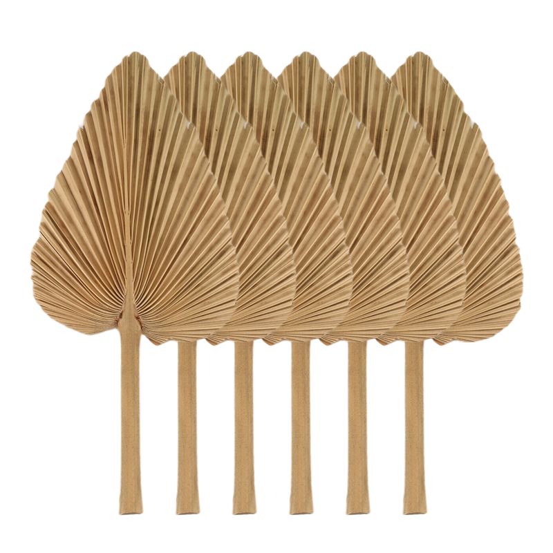 AT84-6PCS Suszone Liście Palmy – Palm Leaf Dried recenzja i cena