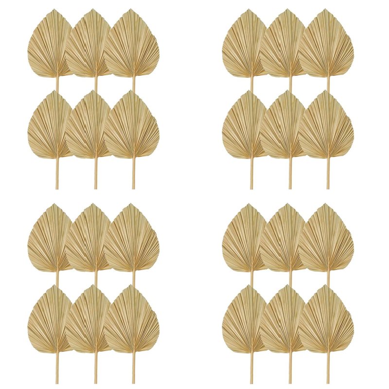 【BOŻE NARODZENIE】24 SZT. Suszo – Palm Leaf Dried recenzja i cena