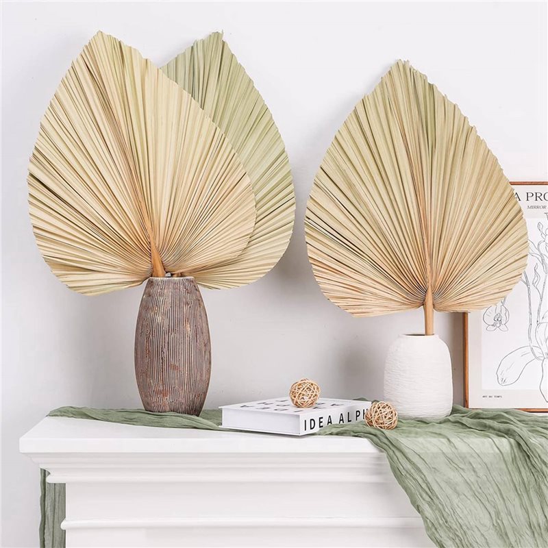 【BOŻE NARODZENIE】24 SZT. Suszo – Palm Leaf Dried recenzja i cena