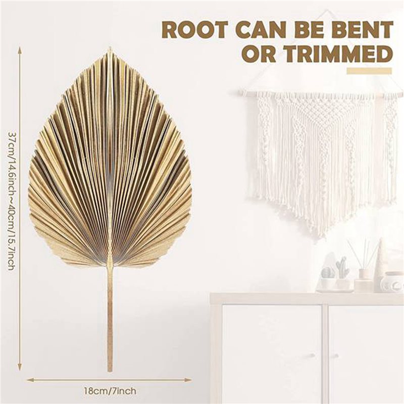 【BOŻE NARODZENIE】24 SZT. Suszo – Palm Leaf Dried recenzja i cena