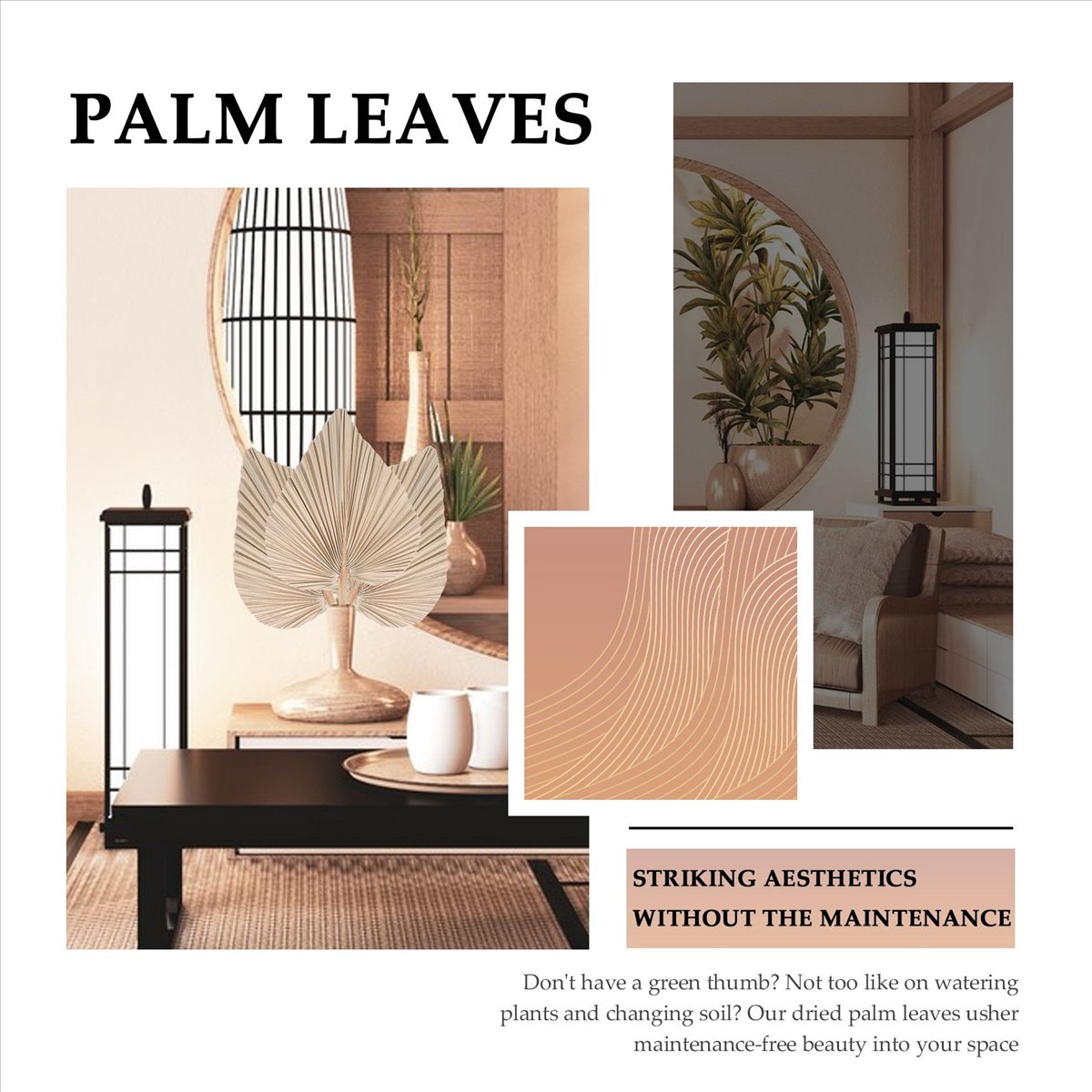 NOCM Suszone Liście Palmy Deko – Palm Leaf Dried recenzja i cena
