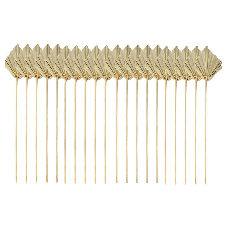 ABYN-Boho Suszone palmy, małe  – Palm Leaf Dried recenzja i cena