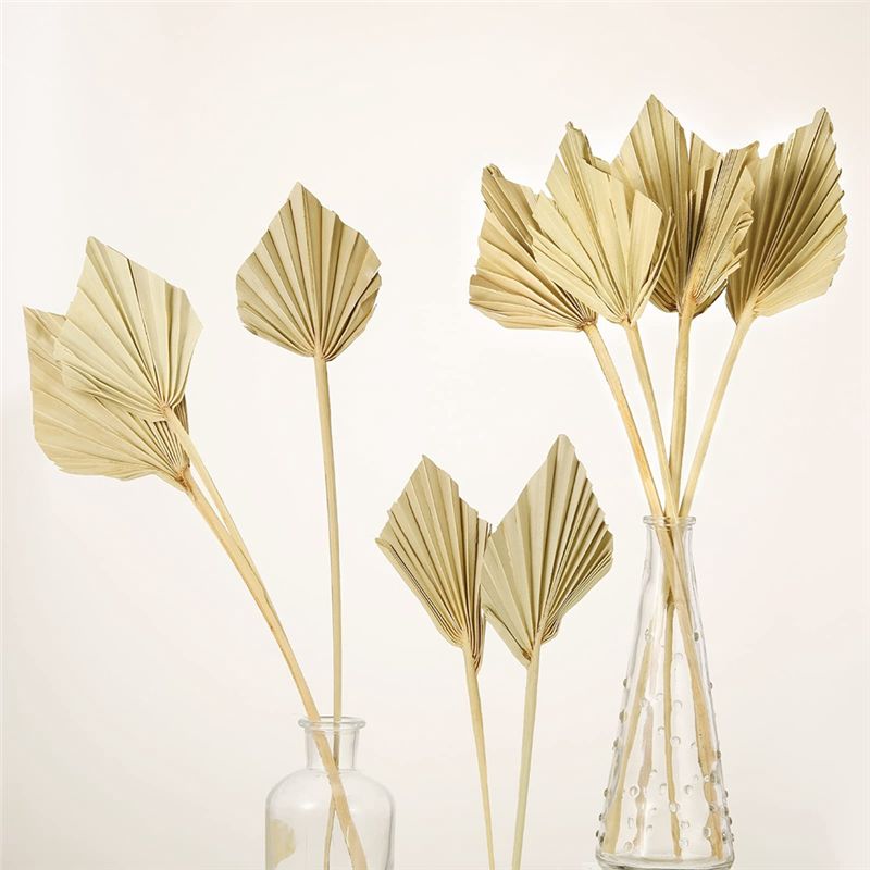 ABYN-Boho Suszone palmy, małe  – Palm Leaf Dried recenzja i cena