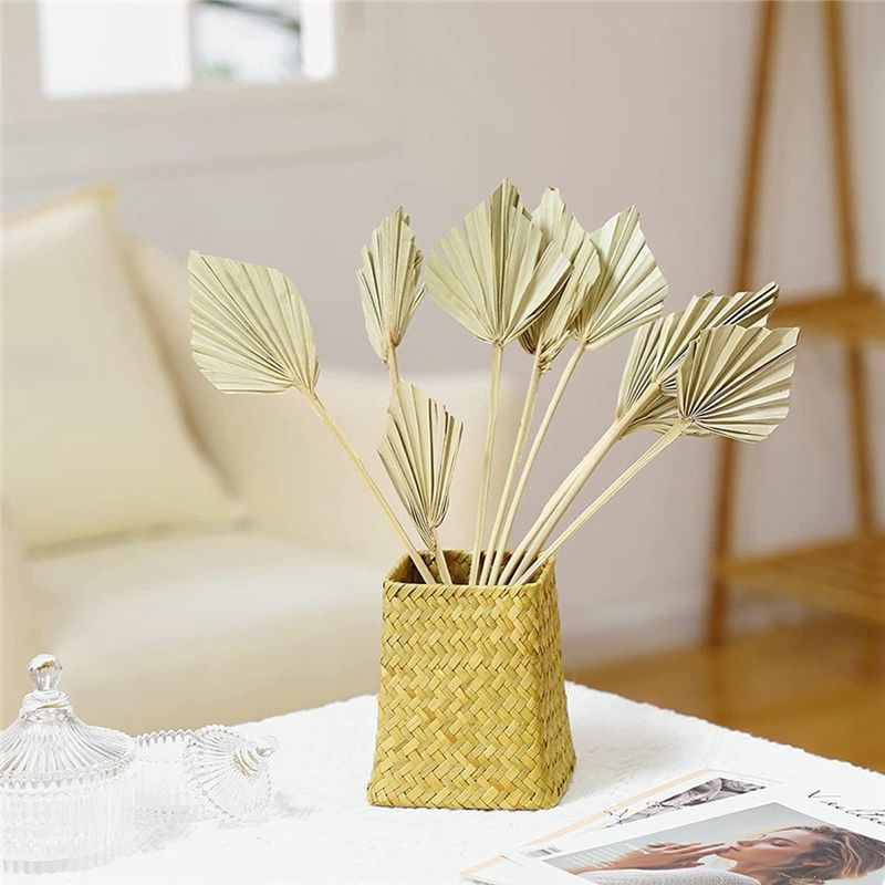 AS60-30 szt. Suszone palmy w s – Palm Leaf Dried recenzja i cena
