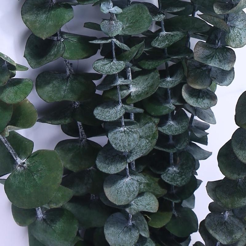 20 sztuk zakonserwowane na świ – Eucalyptus Preserved recenzja i cena
