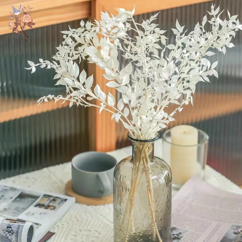 50g Sztuczne Suszone Kwiaty Ru – Eucalyptus Preserved recenzja i cena