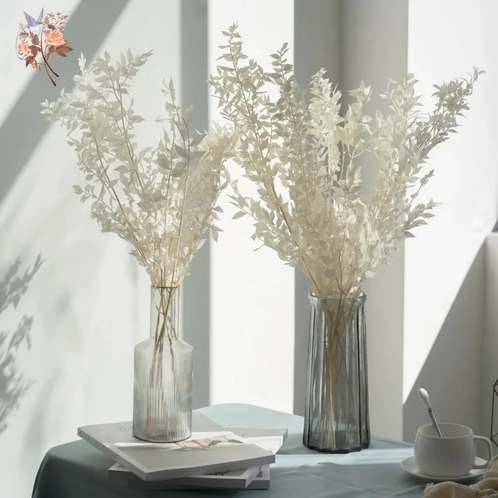 50g Sztuczne Suszone Kwiaty Ru – Eucalyptus Preserved recenzja i cena