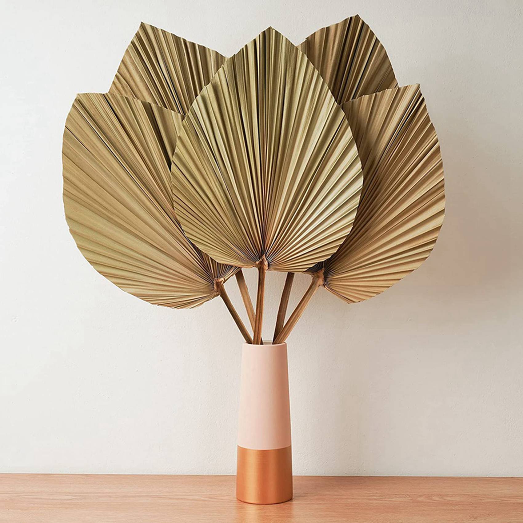 Suszone Liście Palmy Dekoracja – Palm Leaf Dried recenzja i cena