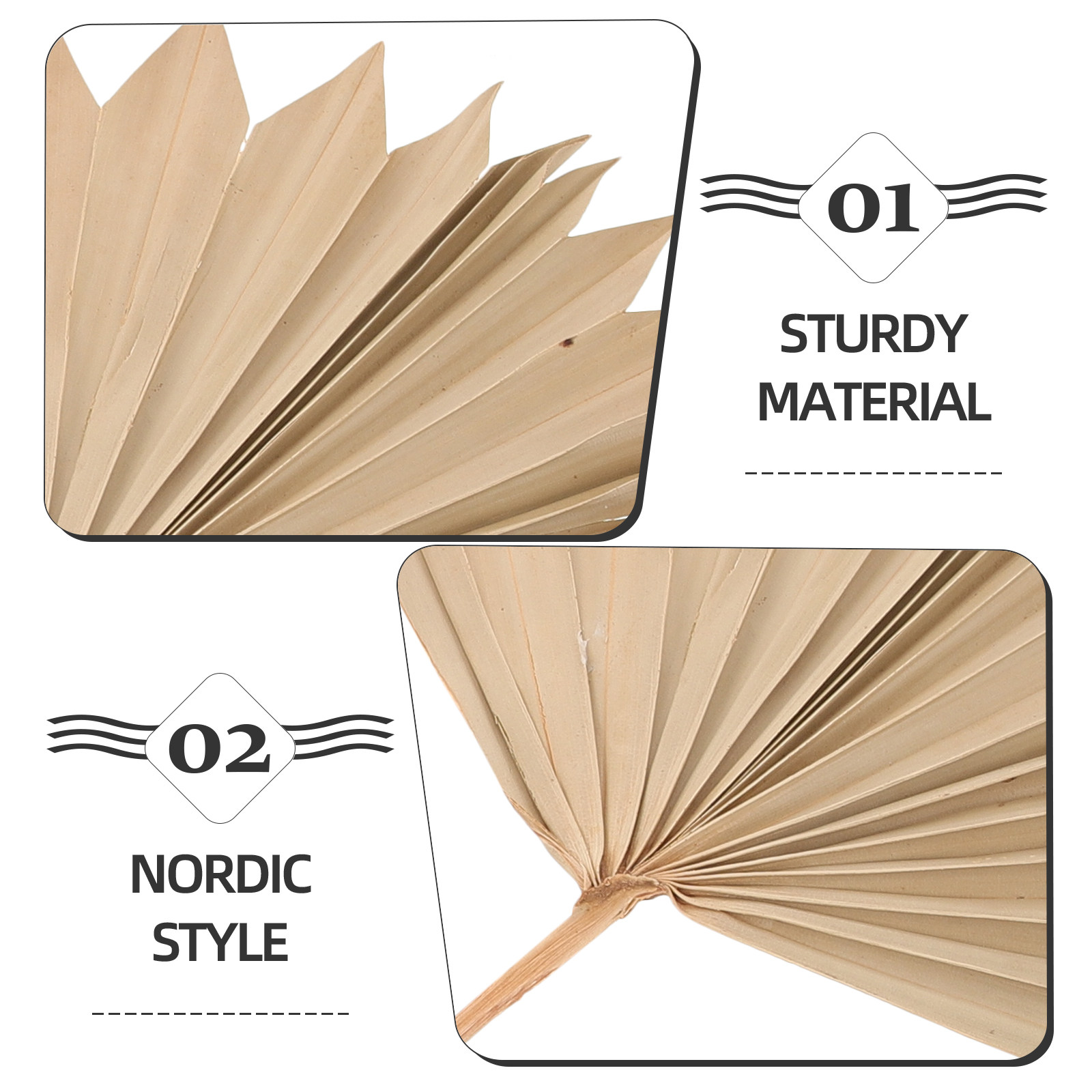 4 szt. Suszone liście palmowe  – Palm Leaf Dried recenzja i cena