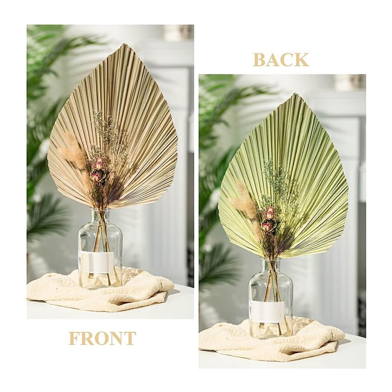 A27F-6 szt. Naturalne, tropika – Palm Leaf Dried recenzja i cena