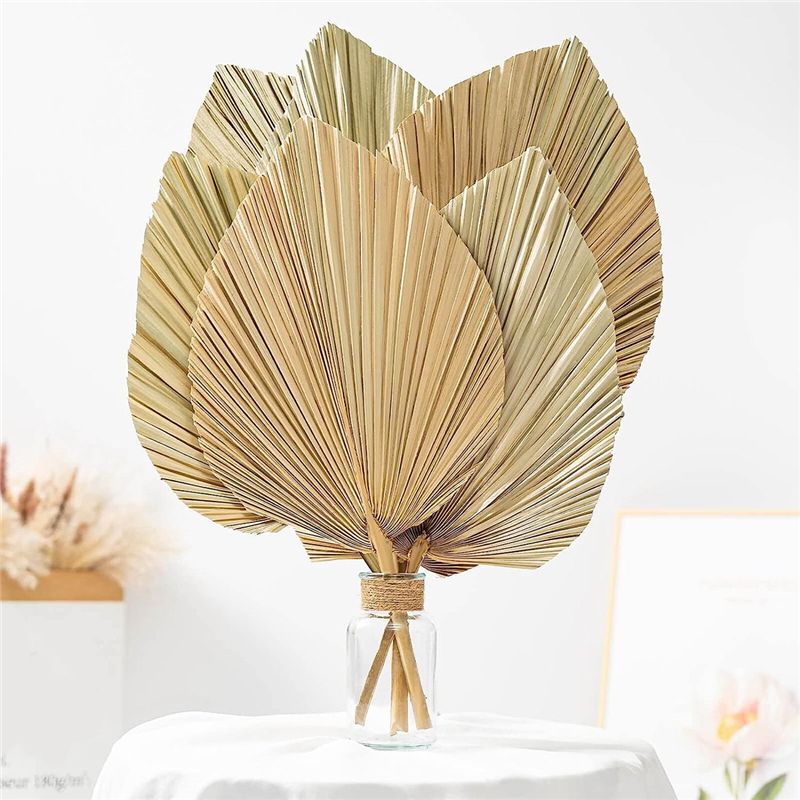 A27F-6 szt. Naturalne, tropika – Palm Leaf Dried recenzja i cena