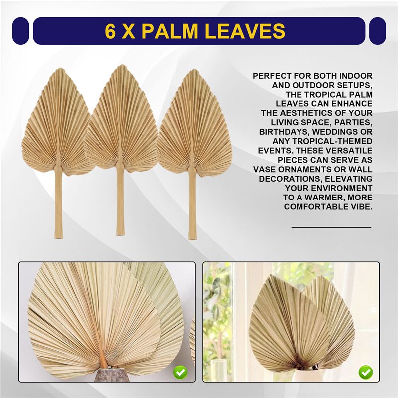 ABKO-6SZT Suszone Liście Palmy – Palm Leaf Dried recenzja i cena