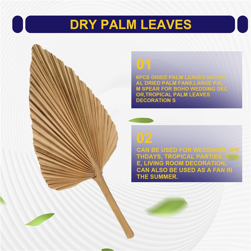 ABKO-6SZT Suszone Liście Palmy – Palm Leaf Dried recenzja i cena