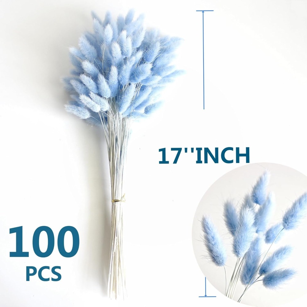 100 SZTUK Niebieska Kołyska Kr – Eucalyptus Preserved recenzja i cena